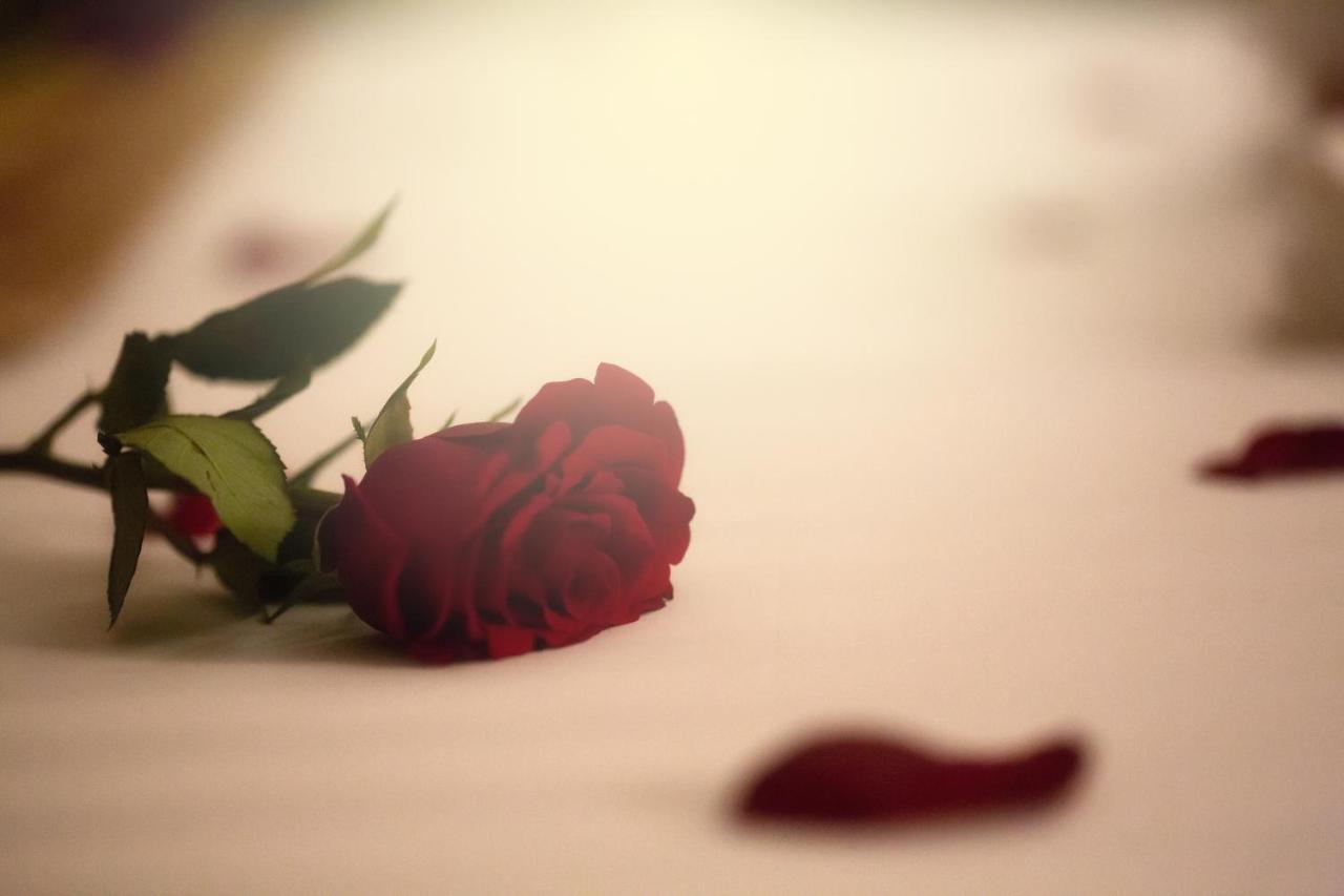 Al Safwah Orchid Hotel Mekka Zewnętrze zdjęcie A rose