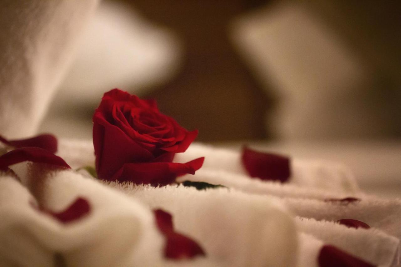 Al Safwah Orchid Hotel Mekka Zewnętrze zdjęcie A rose